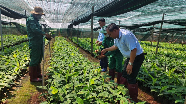 VRG quyết liệt thực hiện Nghị quyết 79 về ph&aacute;t triển kinh tế Nh&agrave; nước năm 2026 - Ảnh 4.