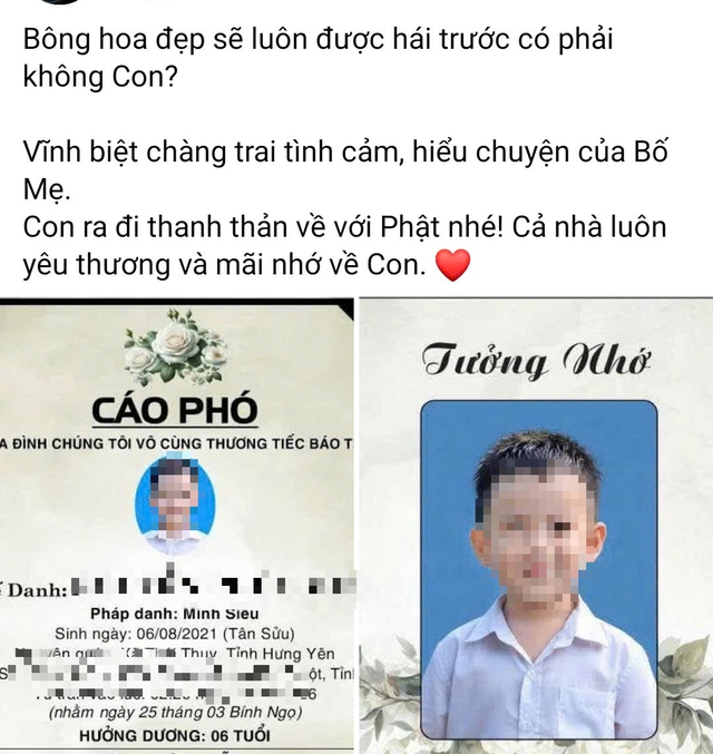 Con trai 6 tuổi tử vong vì viêm màng não, lời tiễn biệt nghẹn lòng của  người mẹ