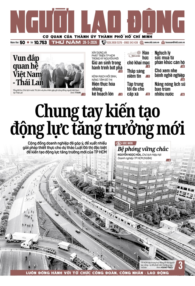 Báo in ngày 28-5: Chấp nhận trái ngành, miễn làm được việc - Ảnh 1.