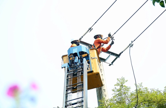 Chuyện những người giữ s&aacute;ng giữa miền Trung bỏng r&aacute;t - Ảnh 3.