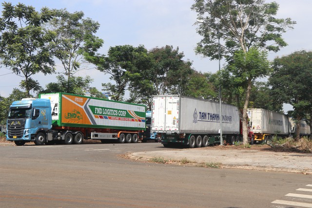 H&agrave;ng trăm xe container sầu ri&ecirc;ng đậu k&iacute;n tuyến đường ở Đồng Nai - Ảnh 4.