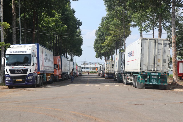 H&agrave;ng trăm xe container sầu ri&ecirc;ng đậu k&iacute;n tuyến đường ở Đồng Nai - Ảnh 2.