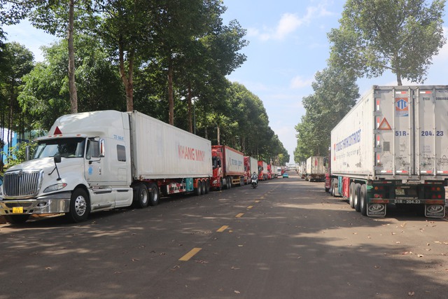 H&agrave;ng trăm xe container sầu ri&ecirc;ng đậu k&iacute;n tuyến đường ở Đồng Nai - Ảnh 5.