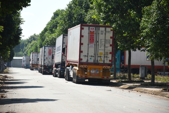 Vụ h&agrave;ng trăm container sầu ri&ecirc;ng đậu k&iacute;n đường: H&igrave;nh ảnh sau chỉ đạo của Chủ tịch Th&agrave;nh phố Đồng Nai - Ảnh 10.