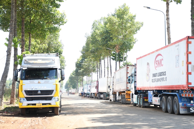 Vụ h&agrave;ng trăm container sầu ri&ecirc;ng đậu k&iacute;n đường: H&igrave;nh ảnh sau chỉ đạo của Chủ tịch Th&agrave;nh phố Đồng Nai - Ảnh 4.