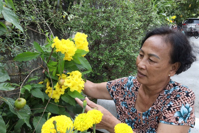 Nhà đẹp đón Xuân: Bí quyết Tết an lành- Ảnh 1.