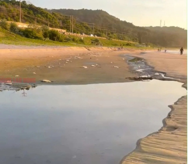 Khu du lịch 5 sao bị xử phạt vì xả thải ra biển Mũi Né  - Ảnh 1.