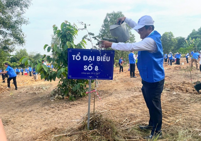 TP HCM phát động trồng 500 cây xanh tại phường Chánh Hiệp hướng tới đô thị xanh - Ảnh 4.