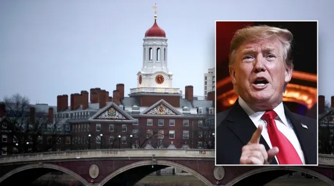 Tổng thống Donald Trump muốn Đại học Harvard làm rõ một chuyện- Ảnh 1. Tổng thống Donald Trump muốn Đại học Harvard làm rõ một chuyện - Ảnh 1.