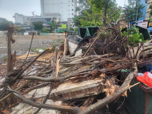 Quận 10: Cây xanh liên tục ngã đổ, hiện trường ngổn ngang- Ảnh 2. Quận 10: Cây xanh liên tục ngã đổ, hiện trường ngổn ngang- Ảnh 2.