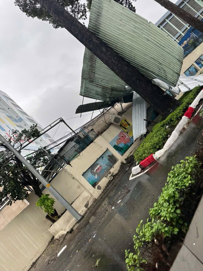 Trưa nay, gió lớn ở TP HCM, cây xanh ngã đổ nhiều nơi- Ảnh 4.