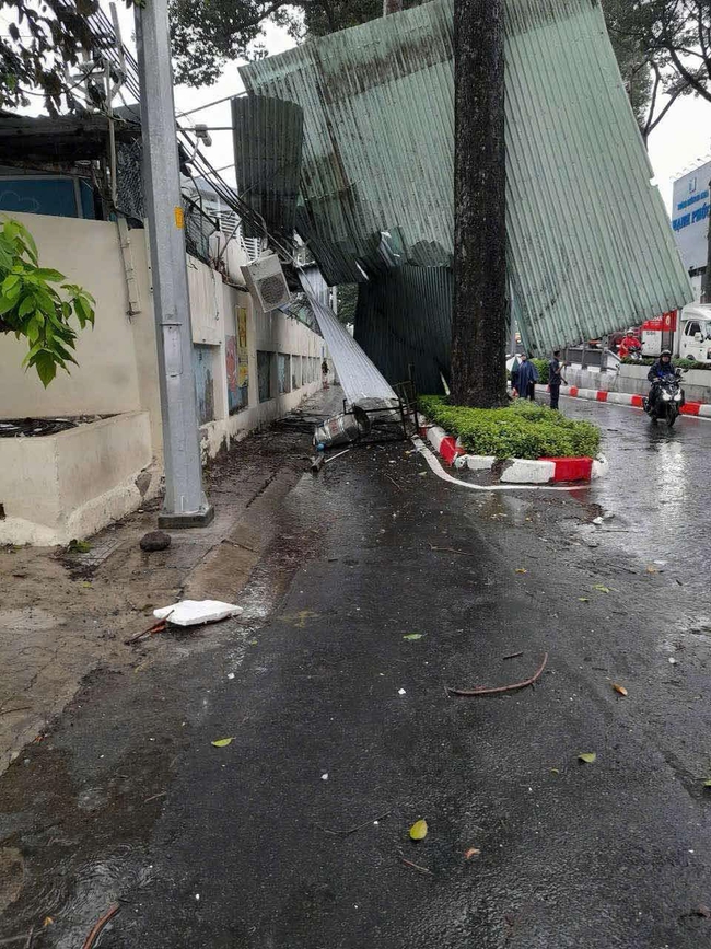 Trưa nay, gió lớn ở TP HCM, cây xanh ngã đổ nhiều nơi- Ảnh 5.