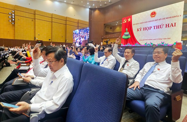 Kỳ họp thứ hai HĐND TP HCM đang diễn ra tại phường Bình Dương- Ảnh 4.