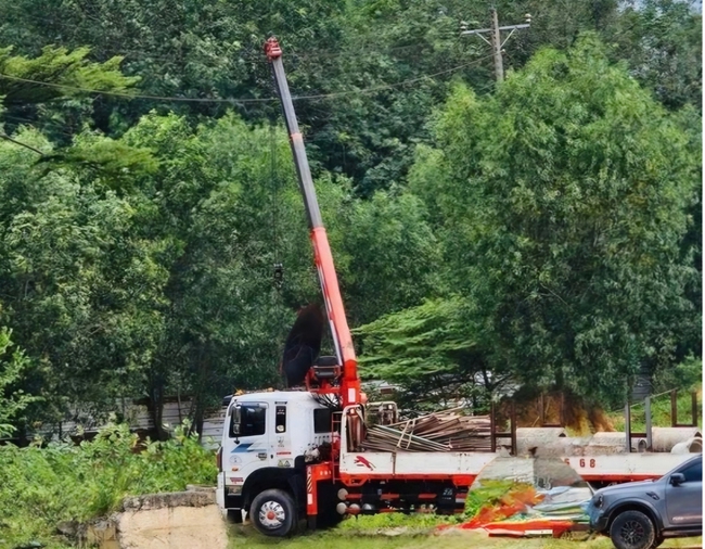 TP HCM: Xe cẩu bị phóng điện khiến 2 người thương vong- Ảnh 1.