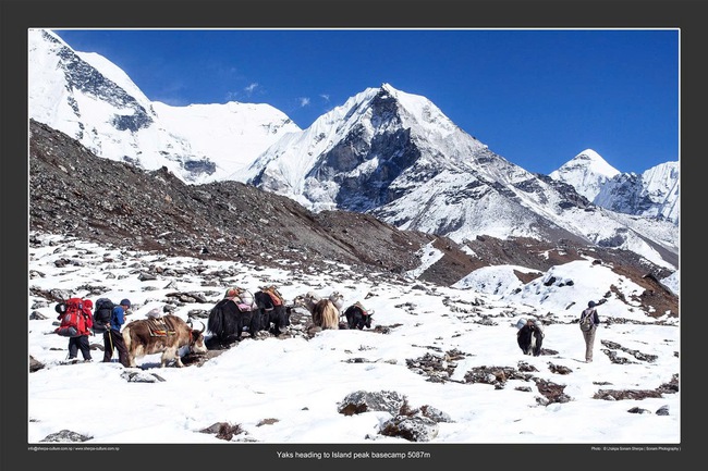Sắp diễn ra triển lãm ảnh “Himalaya: Xứ sở thuần khiết” tại TPHCM, Hà Nội - Ảnh 1.