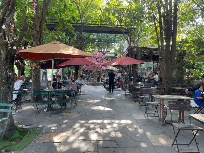 Đ&atilde; bắt khẩn cấp người đ&agrave;n &ocirc;ng "n&uacute;t chuột", "đ&aacute; l&ocirc;ng nheo" c&ocirc; g&aacute;i trẻ - Ảnh 1.