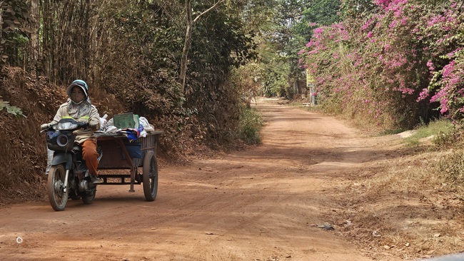 &Aacute;m ảnh với bụi đất đỏ khi đi qua đường L&ograve; Lu ở phường Ch&aacute;nh Hiệp - Ảnh 3.