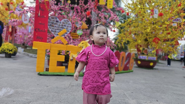 Con đường hoa đ&agrave;o , hoa mai ở phường Ch&aacute;nh Hiệp đ&oacute;n Tết B&iacute;nh Ngọ 2026 - Ảnh 7.