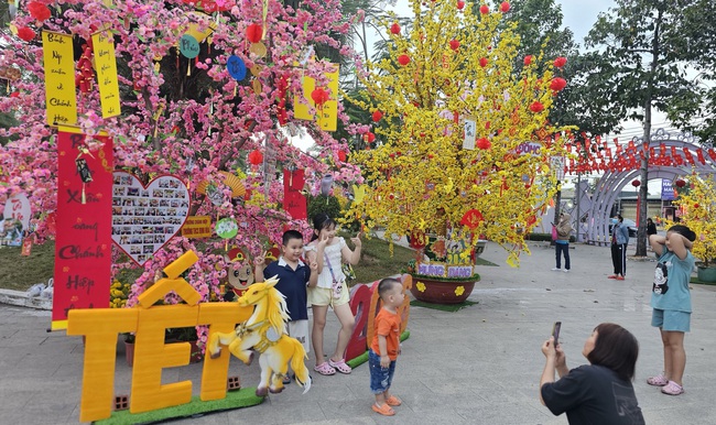 Con đường hoa đ&agrave;o , hoa mai ở phường Ch&aacute;nh Hiệp đ&oacute;n Tết B&iacute;nh Ngọ 2026 - Ảnh 5.