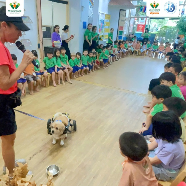 Wisdomland: trường mầm non đầu tiên tại Việt Nam là thành viên của cộng đồng Eco-Schools. - Ảnh 2.