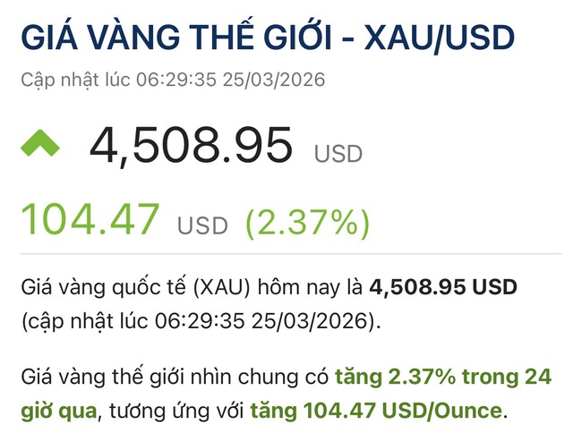 Gi&aacute; v&agrave;ng h&ocirc;m nay, 25-3: Tiếp tục đi l&ecirc;n - Ảnh 1.
