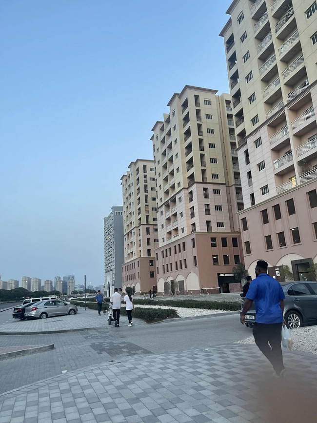 Thư từ C&aacute;c Tiểu Vương quốc Ả Rập Thống nhất (UAE): Chuy&ecirc;n nghiệp như Dubai - Ảnh 1.