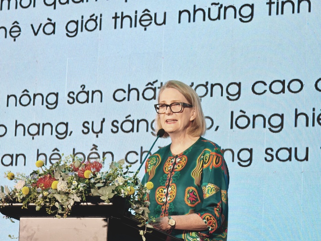 TP HCM mở rộng cơ hội hợp t&aacute;c với &Uacute;c  - Ảnh 3.