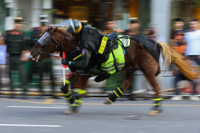 Mãn nhãn với màn trình diễn đỉnh cao của kỵ binh trên đường phố TP HCM- Ảnh 9.