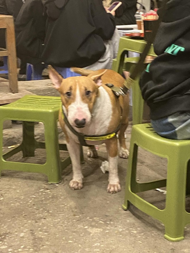 “Phở Anh Hai” có thật ngoài đời? - Ảnh 4.