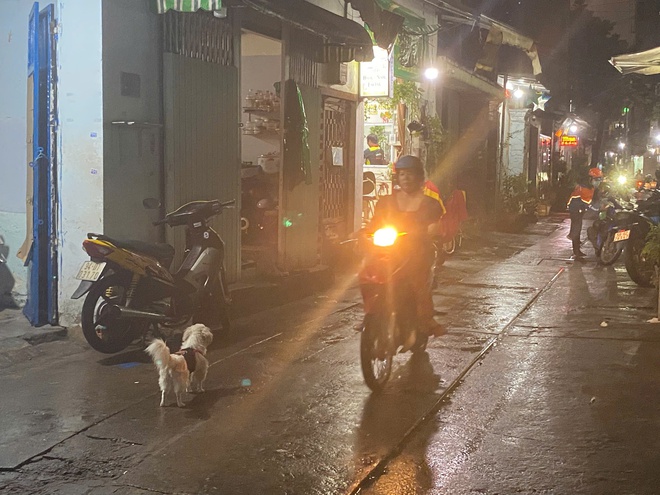 - Ảnh 8. - Ảnh 8.