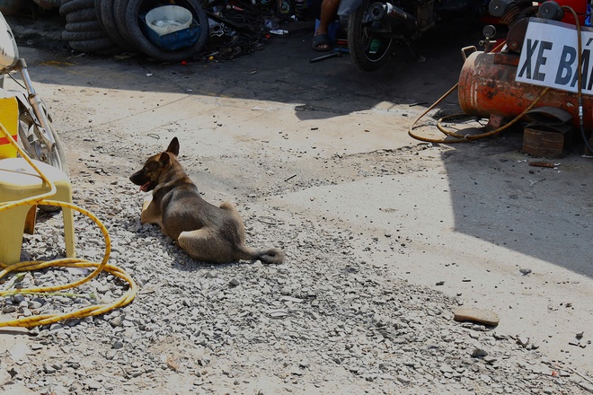 - Ảnh 1. - Ảnh 1.