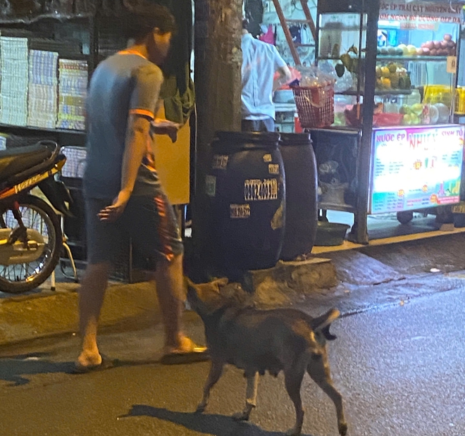 - Ảnh 10. - Ảnh 10.