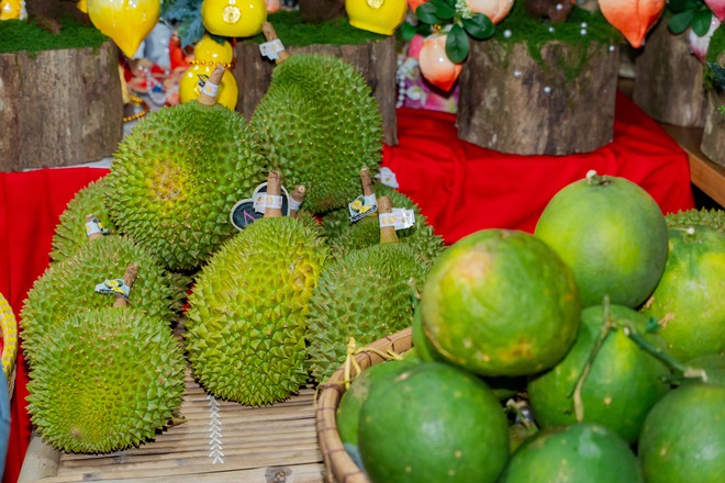 VIDEO: Bưởi tiến vua, na m&ugrave;i sầu ri&ecirc;ng, chuối b&agrave;n tay Phật gi&aacute; dưới 1 triệu &ldquo;đổ bộ&rdquo; TPHCM dịp Tết 2026 - Ảnh 12.