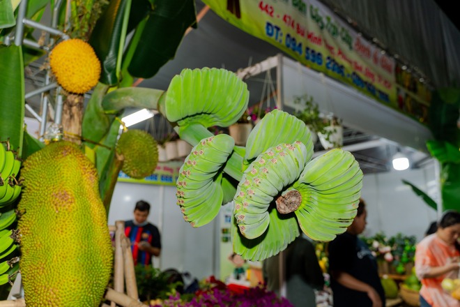 VIDEO: Bưởi tiến vua, na m&ugrave;i sầu ri&ecirc;ng, chuối b&agrave;n tay Phật gi&aacute; dưới 1 triệu &ldquo;đổ bộ&rdquo; TPHCM dịp Tết 2026 - Ảnh 14.