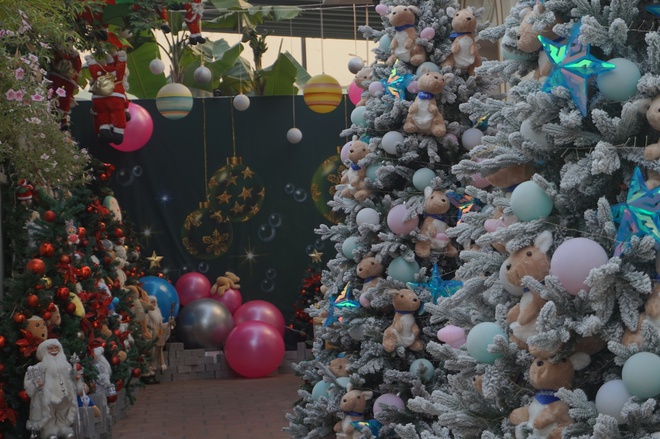 - Ảnh 12. - Ảnh 12.