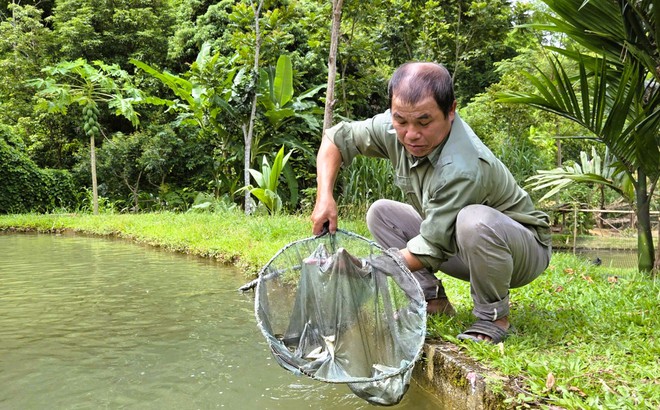 Mạng x&atilde; hội trong lan tỏa m&ocirc; h&igrave;nh tho&aacute;t ngh&egrave;o ở Thanh H&oacute;a - Ảnh 6.