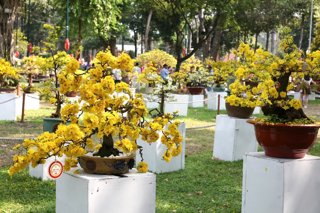 "Áo mới ngày xuân" tại nhiều công viên ở TP HCM- Ảnh 15.