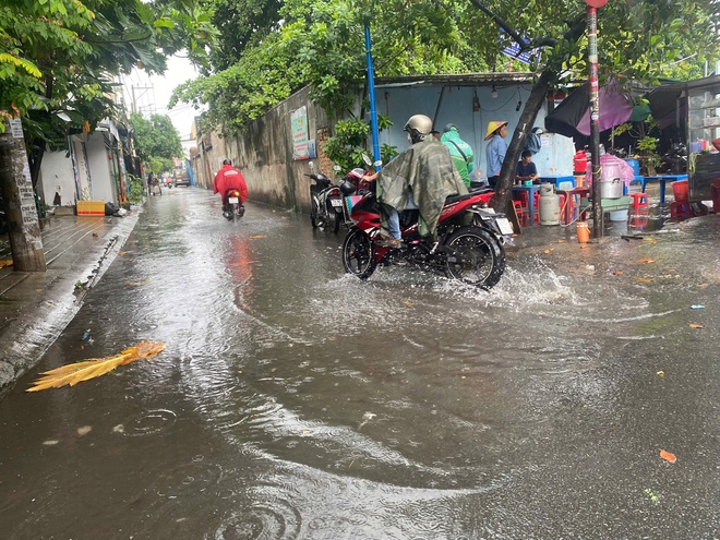 TP HCM: Sáng sớm mưa lớn, gió mạnh, đường lênh láng nước- Ảnh 1. TP HCM: Sáng sớm mưa lớn, gió mạnh, đường lênh láng nước- Ảnh 1.