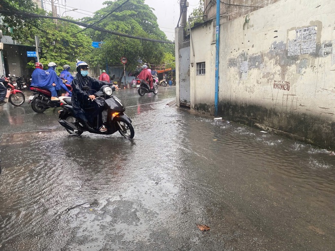 TP HCM: Sáng sớm mưa lớn, gió mạnh, đường lênh láng nước- Ảnh 2. TP HCM: Sáng sớm mưa lớn, gió mạnh, đường lênh láng nước- Ảnh 2.