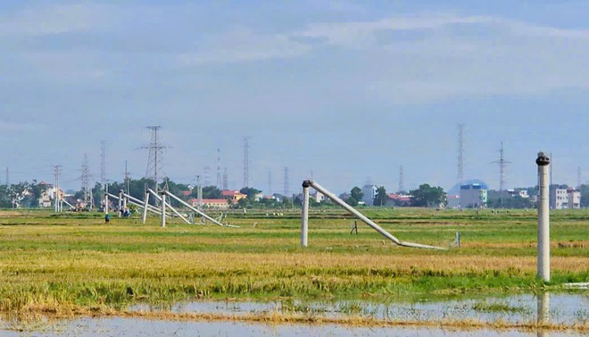 Cột điện đường dây 22 kV gãy đổ như "ngả rạ" sau mưa dông ở Thanh Hóa- Ảnh 3. Cột điện đường dây 22 kV gãy đổ như "ngả rạ" sau mưa dông ở Thanh Hóa- Ảnh 3.