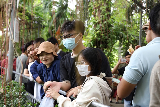 Xúc động chuyện hà mã lùn tại Thảo Cầm Viên Sài Gòn- Ảnh 7. Xúc động chuyện hà mã lùn tại Thảo Cầm Viên Sài Gòn- Ảnh 7.