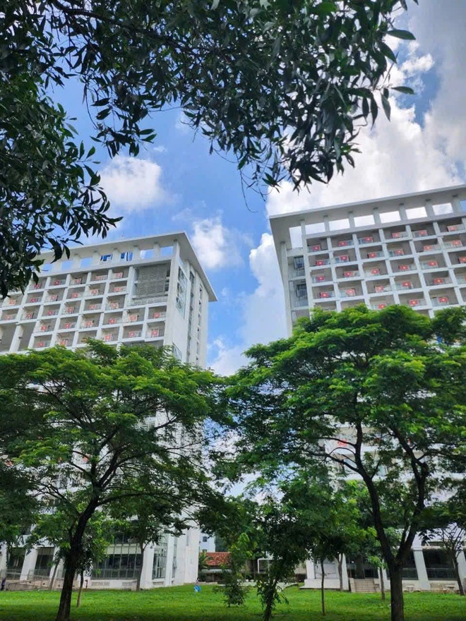 Nhà trường lì xì Tết Độc lập, sinh viên bắt trend "đã quá trường ơi!" - Ảnh 3.