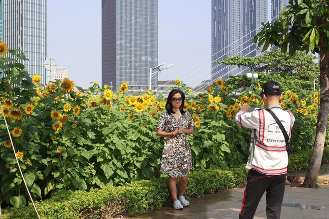 C&aacute;nh đồng hoa hướng dương ở TP HCM thu h&uacute;t người d&acirc;n dịp đầu năm mới - Ảnh 6.