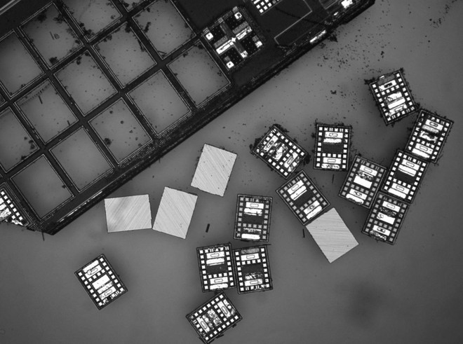 Robot siêu nhỏ biết bơi, tự suy nghĩ và hành động - Ảnh 3.