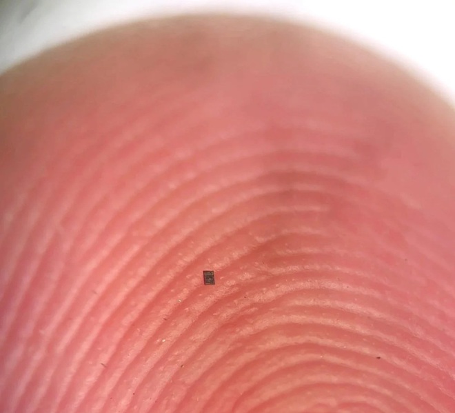 Robot siêu nhỏ biết bơi, tự suy nghĩ và hành động - Ảnh 2.