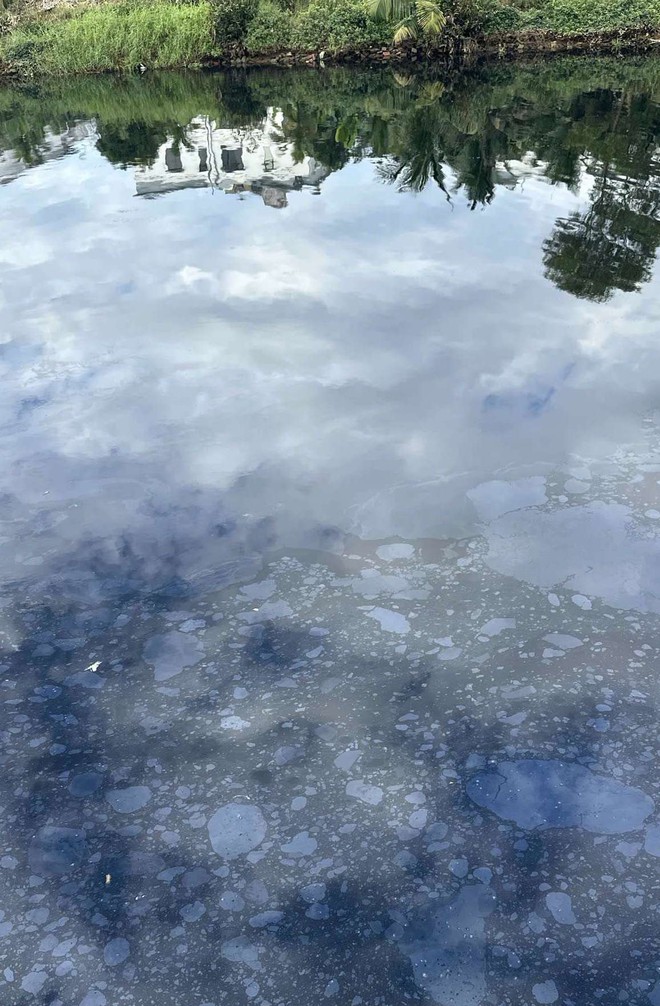 X&aacute;c minh vết dầu loang tr&ecirc;n s&ocirc;ng Cu Đ&ecirc; ở Đ&agrave; Nẵng - Ảnh 3.