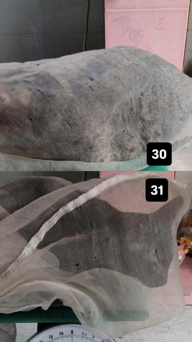 - Ảnh 8. - Ảnh 8.