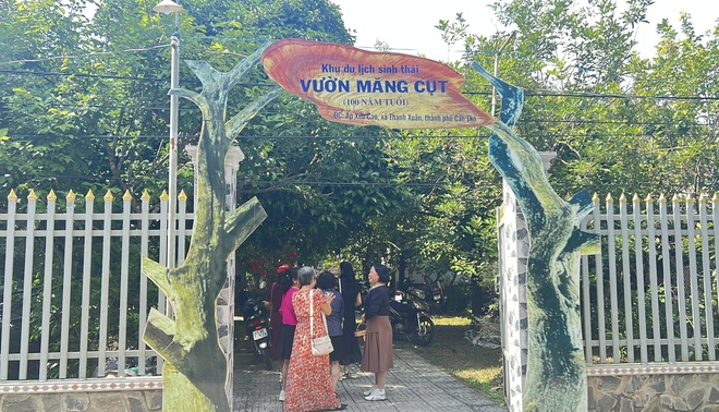 Foreign tourists enjoy cooking Western Vietnamese dishes in Can Tho - Ảnh 4.