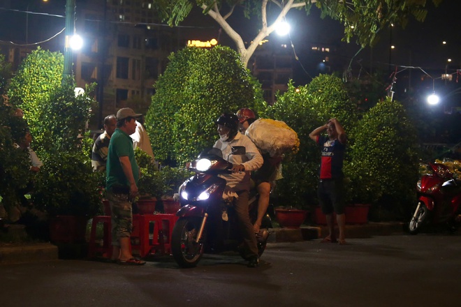 TPHCM: Khai mạc Chợ hoa xu&acirc;n "Tr&ecirc;n bến dưới thuyền" Tết B&iacute;nh Ngọ 2026 - Ảnh 15.