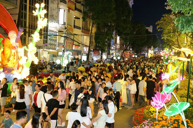 Người d&acirc;n th&iacute;ch th&uacute; check-in tại đường hoa nghệ thuật Cần Thơ trong đ&ecirc;m khai mạc - Ảnh 11.